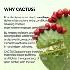 Cactox Hydro Pore Care Set